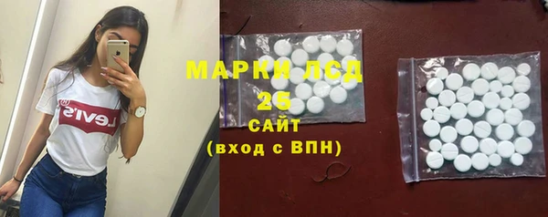 индика Абинск
