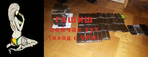 индика Абинск