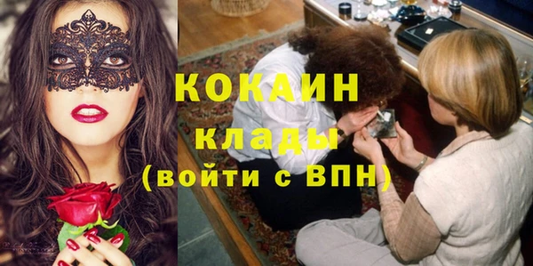 трава Пересвет