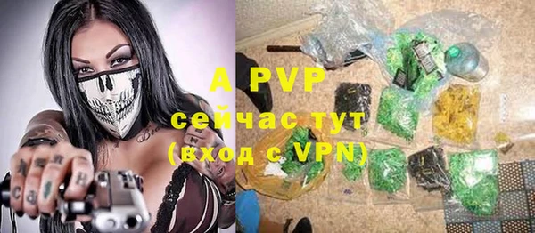 трава Пересвет