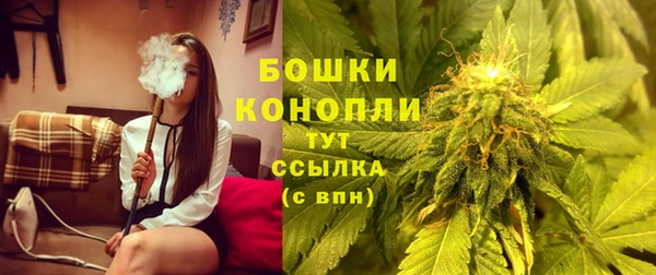 трава Пересвет