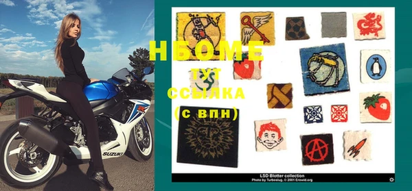 индика Абинск